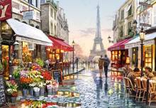 Paris pintura a óleo floricultura cenário arte bordado 14ct tela sem impressão artesanal bordado ponto cruz kits faça você mesmo decoração de casa 2024 - compre barato