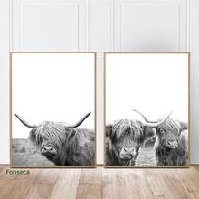 Highland preto gado cartazes e cópias preto branco lona pintura da arte da parede vaca imagens para sala de estar arte decoração casa 2024 - compre barato