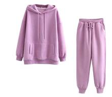 2020 Autumn Winter Women Casual Sweatsuit Solid Long Sleeve Outfit Hoodie and Jogger Set 2 Pieces Fleece Tracksuit 2024 - buy cheap