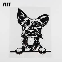 YJZT 14.8CMX17.2CM Fun Welsh Terrier Peeking Dog Vinyl Car Sticker Black/Silver 8A-0059 2024 - buy cheap