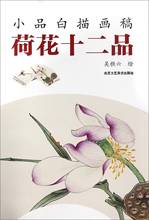 Meticulous Flower And Bird Painting: Basic Sketching, Line Drawing, Light Color And Boneless Painting   Gong Bi  Art Books 2024 - buy cheap