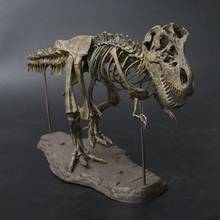 Т Рекс Тираннозавр Рекс, скелет динозавр Игрушечная модель животного коллекционер супер Декор K1KC 2024 - купить недорого