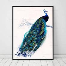 Victorian Peacocks Bird Canvas Painting Illustration Vintage Modular Posters and Prints Picture Retro Wall Art Living Room Decor 2024 - buy cheap