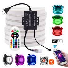 Wifi Control RGB Neon Strip 220V 110V Waterproof Outdoor Decoration Flexible Tape Ribbon LED Neon Light Lamp 5050 RGB LED Strip 2024 - buy cheap