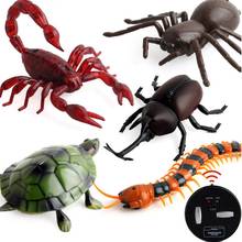 Presentes do dia das bruxas para Crianças Kit de Infravermelho RC Controle Remoto Toy Animal Crianças Piadas Rádio Barata Aranha Insect Cosplay Adereços 2024 - compre barato