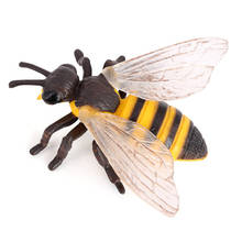 Brinquedos de plástico para crianças, ciclo de vida de abelha, figuras educacionais, aprendizagem 2024 - compre barato