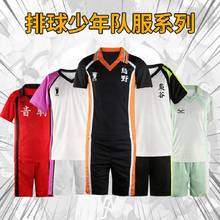 New S-XXXL Haikyuu shirt pants sportswear Jersey Karasuno Nekoma High School Uniforms Volleyball Club Haikyuu Cosplay Costume 2024 - buy cheap