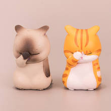 Мини кавайная крышка лица кошка японское аниме имитация животного кошка экшн-Фигурка декоративная игрушка Коллекционная модель детская игрушка подарок 2024 - купить недорого