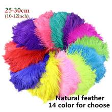 10pcs/lot Natural Ostrich Feather Wedding party Carnival Decoration Jewelry Accessory Feathers for Crafts Ostrich Plumes 2024 - buy cheap