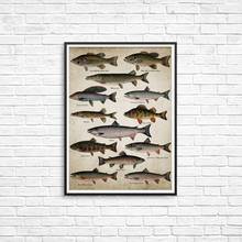 Рыбалка стены Искусство Холст Плакаты принты пород рыб живопись пресноводная рыба настенные картины для украшения дома комнаты 2024 - купить недорого
