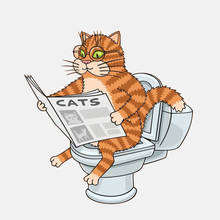 Car Sticker Interesting Cat on The Toilet Wearing Glasses Reading A Newspaper Cover Scratches Waterproof PVC,14cm*15cm 2024 - buy cheap