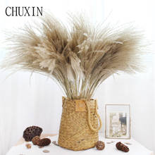 100pcs Pampas Grass Natural Dried Flowers Reed Christmas Decor For Family Banquet Wedding Arrangements Dried Flower Decorations 2024 - buy cheap