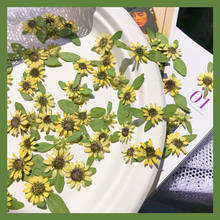60pcs Pressed Dried Mini 1-2cm Sunflower Flowers Plant Herbarium For Jewelry Postcard Invitation Card Phone Case Bookmark DIY 2024 - buy cheap
