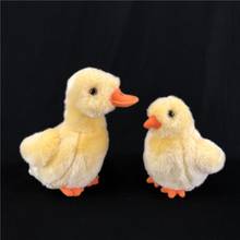 Muñeco de peluche realista para niños, juguete de peluche de pequeño pato, regalo coleccionable 2024 - compra barato