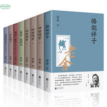 Лаосская Китайская классическая коллекция книг для эссе зима в Цзинань 2024 - купить недорого
