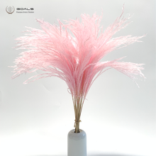 Home deco 15pcs dried natural phragmites flowers small pampas grass bouquets natural dried reed flowers bouquets Pink 2024 - buy cheap