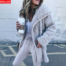 Fashion Autumn Winter Faux Fur Coat Women Fluffy Casual Long Sleeve Outwear 2024 - buy cheap