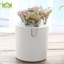 Plastic Flower Pot Self-watering Green Plants Flower Holder Home Office Hydroponic Potted Bonsai Creative Gardening Accessories 2024 - buy cheap