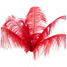 Penas naturais de avestruz, decoração para festa de casamento, vermelho 20-25cm, 10 peças 2024 - compre barato