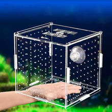 Коробка для изоляции аквариума, коробка для разведения мальков, прозрачная акриловая, с одной сеткой, с двойной сеткой, принадлежности для аквариума 2024 - купить недорого