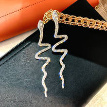 Brincos pendurados em formato de cobra, brincos de cristal com borla longa para mulheres, ouro, prata, strass, joias da moda, presentes 2024 - compre barato
