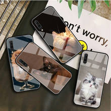 Funny Cat Tempered Glass luxury Case For Samsung Galaxy A 10S 10E 20S 20E 30S 40 50S 60 70 80 90 6 7 8 protection Shell 2024 - buy cheap