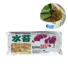 1 упаковка, Sphagnum Moss Garden Bonsai, увлажняющее питание, органическое удобрение для сада, фаленопсис, Орхидея 2024 - купить недорого