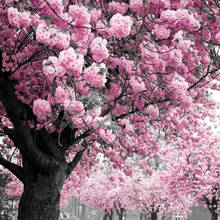 JMINE Div 5D Розовый цветок цветение вишни дерево полностью Алмазная краска наборы для вышивки крестиком Искусство Цветочный 3D краска алмазами 2024 - купить недорого