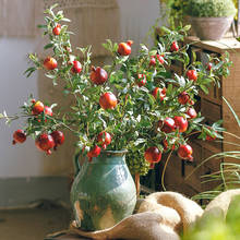 Decoração caseira de romã artificial vermelha, ramo longo, planta artificial, flor falsa, decoração de jardim, retrô, romã 2024 - compre barato