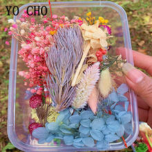 YO CHO-1 caja de mezcla de flores secas reales, naturales, florales, para arte, artesanía, álbum de recortes, joyería, artesanía, relleno de molde epoxi 2024 - compra barato