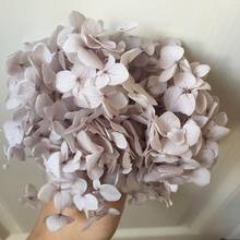 20g/lot,Natural Preserved Hydrangea flowers,Special Offer Eternal flower for Wedding party Decoration,bride to be Headwear favor 2024 - buy cheap