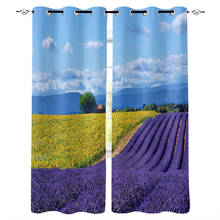 Lavender Sunflower Field Scenery Window Curtains for Living Room Kitchen Kids Bedroom Home interior Decoration Curtains 2024 - buy cheap