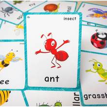 14pcs Insects Flashcards Kids Learning English Word Cards For Kindergarten Classroom Decoration Pocket Card Educational Toys 2024 - buy cheap