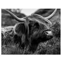 Diamond Embroidery Highland cattle DIY 5D Cross Stitch Black White Art Square Round Diamond Painting mosaic picture by numbers 2024 - buy cheap