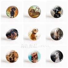 5Pcs/lot Pet Bulldog Dachshund Dog Picture DIY 25mm Round Glass Cabochon for Pendant Glass Dome Jewelry Accessories 2024 - buy cheap