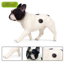 2021 simulação cão de estimação animal modelo sólido cottontail bulldog animais ornamentos crianças cognitivo brinquedo educativo para presente das crianças 2024 - compre barato