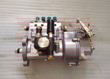 4I131A (or 41131A, 4H31A), Injection Pump, Changchai engine parts, N485 2024 - buy cheap