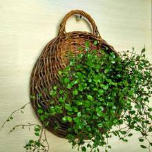 Wicker Rattan Flower Basket Hanging Vine Pot Planter Hanging Vase Container Wall Plant Basket For Garden 2024 - buy cheap