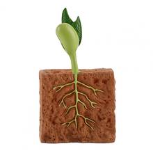 Brinquedo de simulação de plantas crescidas, 4 unidades, pvc, modelo de ciclo de crescimento de plantas para casa, ciclo de crescimento, brinquedo de plantas 2024 - compre barato