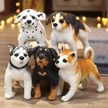 1pc 25cm simulação bonito cão brinquedos de pelúcia adorável husky akita rottweiler animal cão bonecas recheadas brinquedos macios para crianças meninos presente de natal 2024 - compre barato