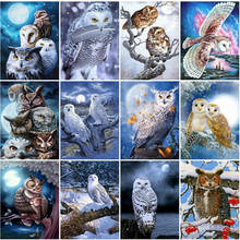 EverShine Diamond Painting 5D Animal Cross Stitch Diamond Mosaic Owl Picture Of Rhinestones Winter Beaded Embroidery Handicraft 2024 - buy cheap