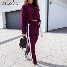 Women's 2 Piece Sets Casual Autumn Tracksuit Long Sleeve Hoody Tops And Pants Pure Color Long-Sleeved Gold Velvet Leisure Sports 2024 - buy cheap