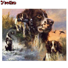 Pintura de diamantes redondos y cuadrados 5D, bordado de punto de cruz de pato inglés Springer Spaniel, mosaico de diamantes, Decoración, regalo 2024 - compra barato