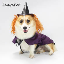 Домашнее животное Хэллоуин Косплей Костюм для собаки Хеллоуин костюм домашнее животное ведьма пончо и шляпа для маленьких средних и больших собак 2024 - купить недорого