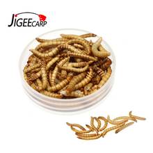 JIGEECARP 1Bottle 15g N.W 100% Natural Carp Fishing Dried Bread Worms Boxed Dried Mealworms For Carp Fishing Feed Pet Food 2024 - buy cheap