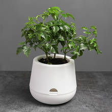 White Hydroponic Flowerpot Home Office Desk Flower Pot Green plants Self-watering System Home Office Desk Decoration 2024 - buy cheap