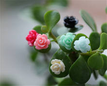Minijardín en miniatura, suministros de jardín para el hogar, rosa, Micro paisaje, decoración artesanal, 1 unidad 2024 - compra barato