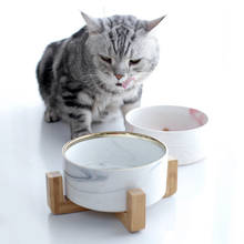 Gatos comida tigela alimentação pet aço inoxidável cerâmica de alimentação e bacias de água com quadro de bambu para cães e gatos animais de estimação prato 2024 - compre barato