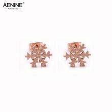 AENINE Fashion Frosted Snowflakes Stud Earrings Jewelry Titanium Stainless Steel Earrings For Women Christmas Gift AE17010 2024 - buy cheap