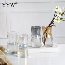 Nordic Glass Vase For Home Decoration Plant Vases Color Flower Pot Transparent Vase Tabletop Plants Home Bonsai Decor Vases 2024 - buy cheap